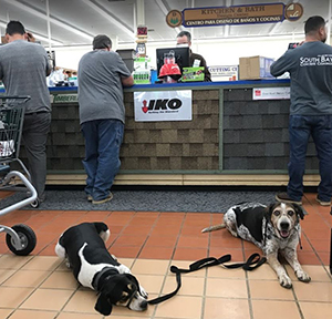 Dixieline Lumber center sales counter customer service National City dogs welcome